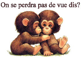 Ya pa interet kon se perde de vue!!!